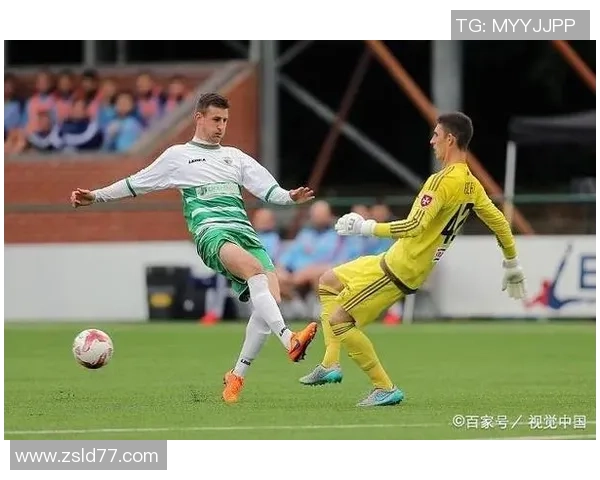 013巴特对阵维迪奥顿精彩赛事回顾与分析