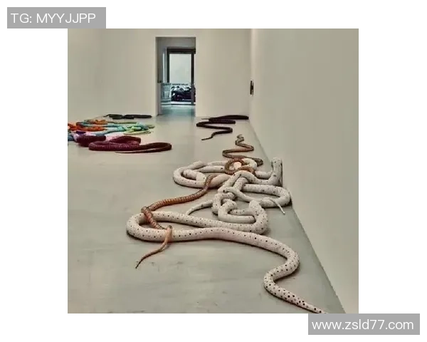 加莱诺的艺术世界探索：从传统到现代的跨越与融合之旅