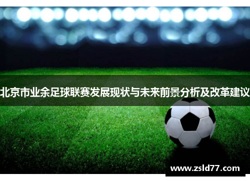 北京市业余足球联赛发展现状与未来前景分析及改革建议