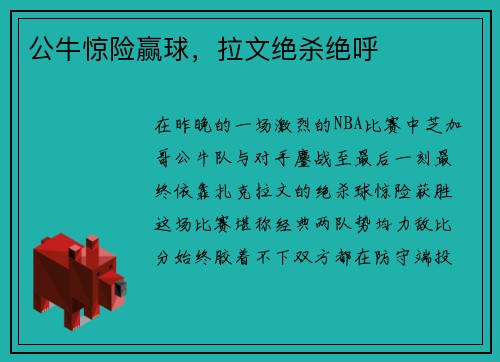 公牛惊险赢球，拉文绝杀绝呼